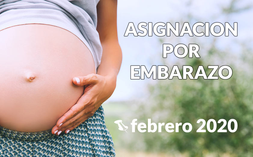 Asignación por Embarazo Febrero 2020